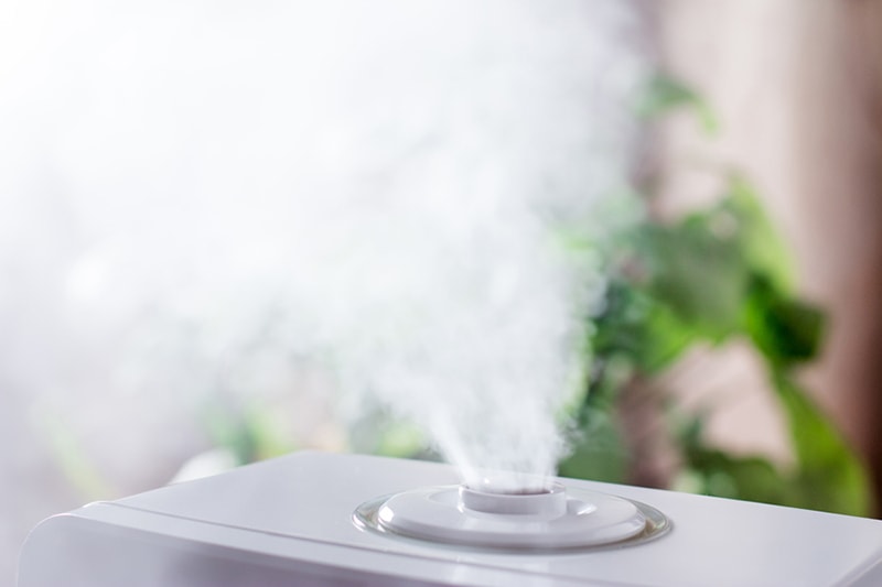 Humidifier